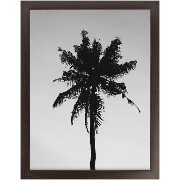 Renerded Palm Tree Economy Framed Prints