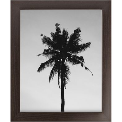 Renerded Palm Tree Economy Framed Prints