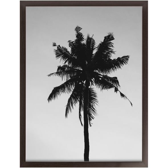 Renerded Palm Tree Economy Framed Prints