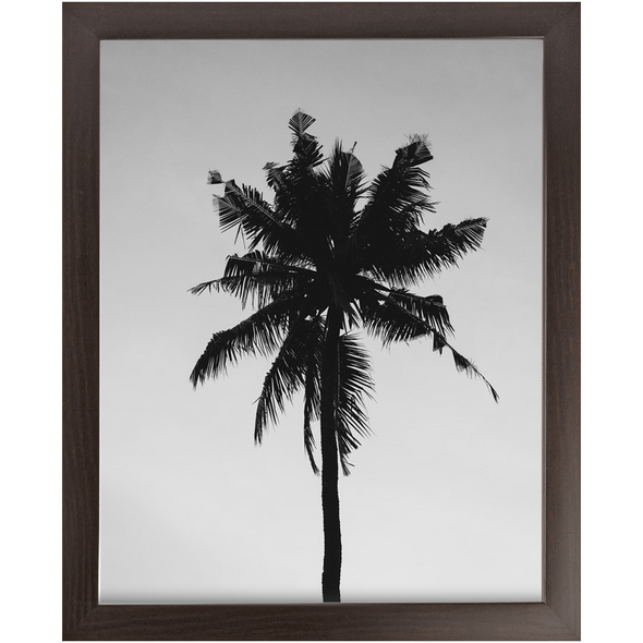 Renerded Palm Tree Economy Framed Prints