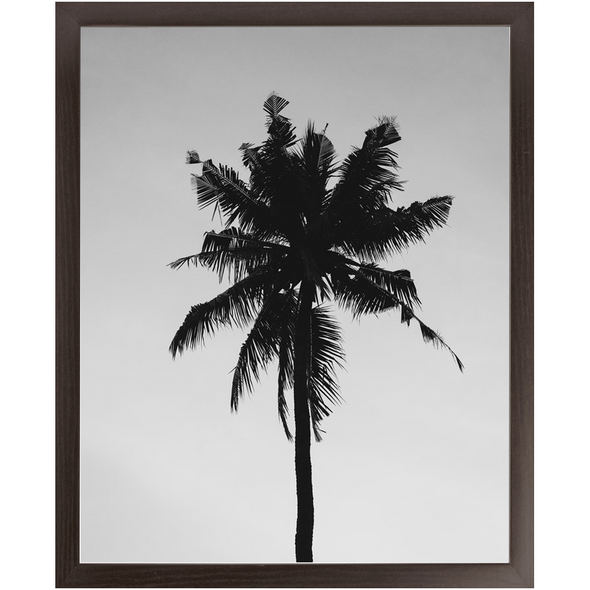 Renerded Palm Tree Economy Framed Prints