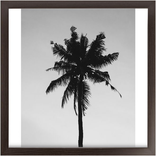 Renerded Palm Tree Economy Framed Prints