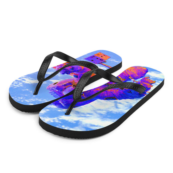 Renerded Flip Flops