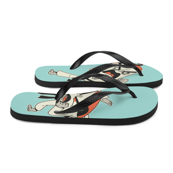 Renerded Flip Flops