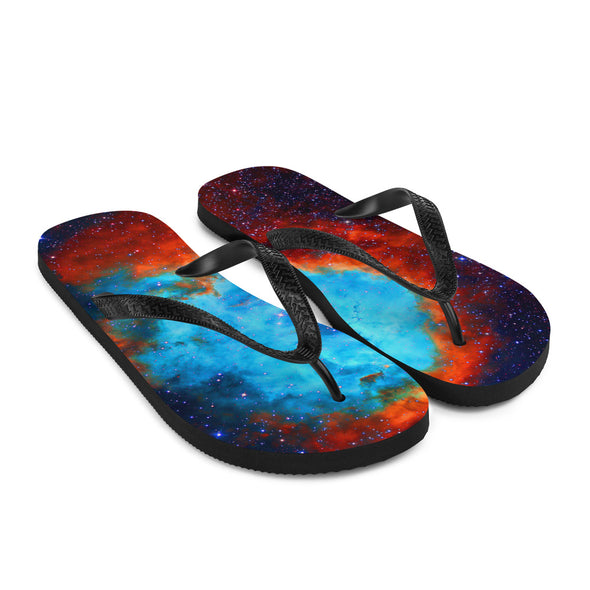 Renerded Flip Flops