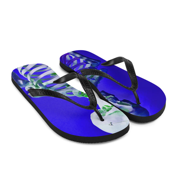 Renerded Flip Flops