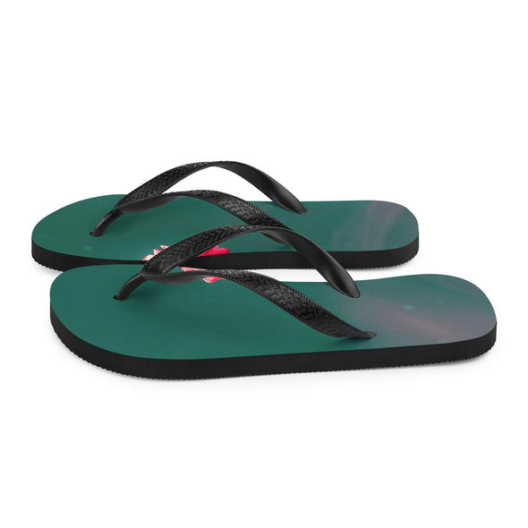 Renerded Flip Flops