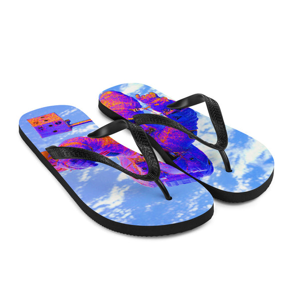 Renerded Flip Flops