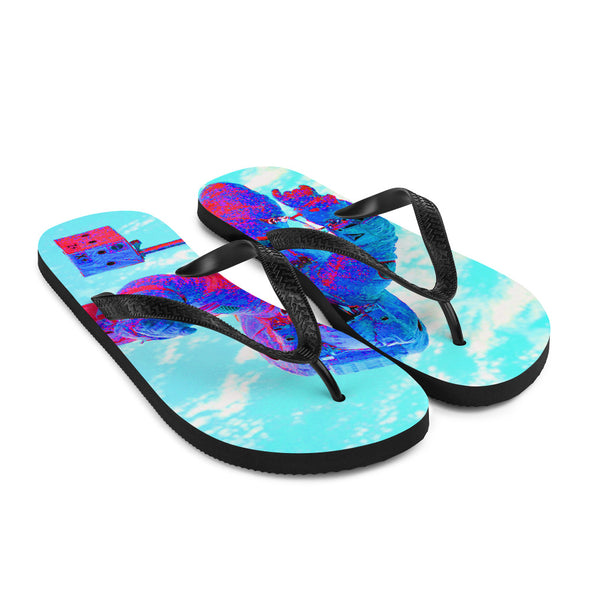 Renerded Flip Flops