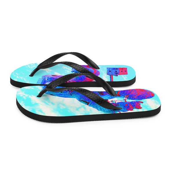 Renerded Flip Flops