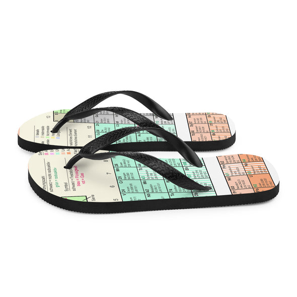 Renerded Flip Flops