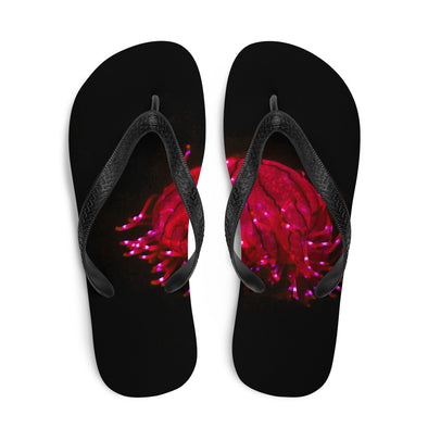 Renerded Flip Flops