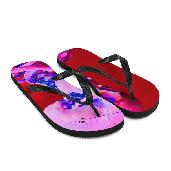 Renerded Flip Flops