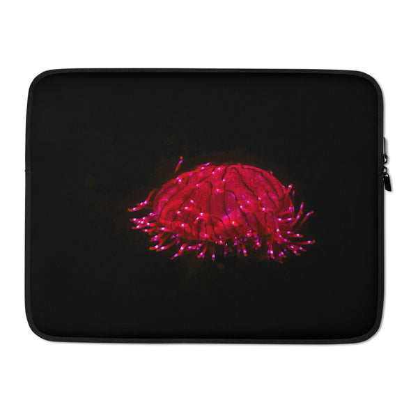 Renerded Laptop Sleeve