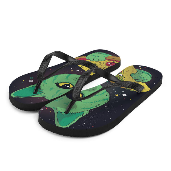 Renerded Flip Flops