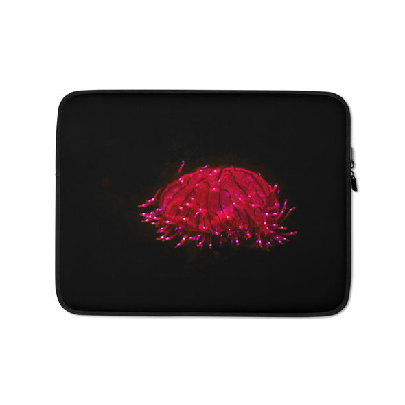 Renerded Laptop Sleeve