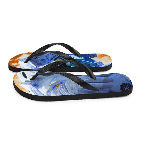 Renerded Flip Flops