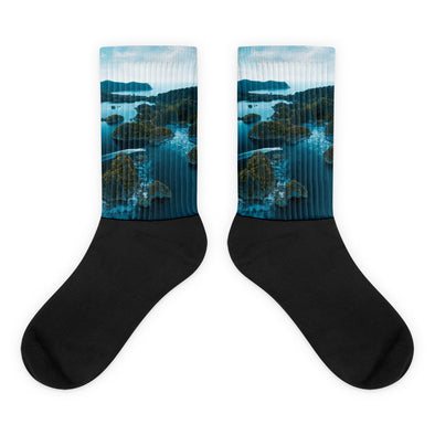 Renerded Socks