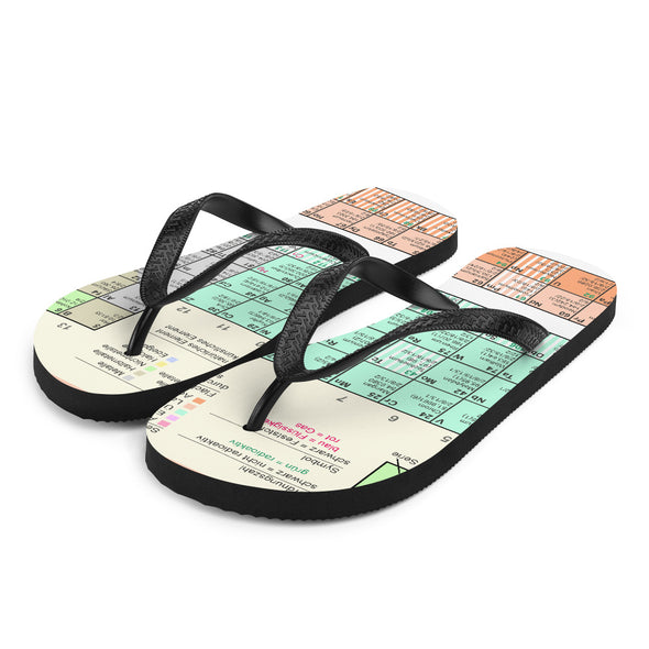 Renerded Flip Flops