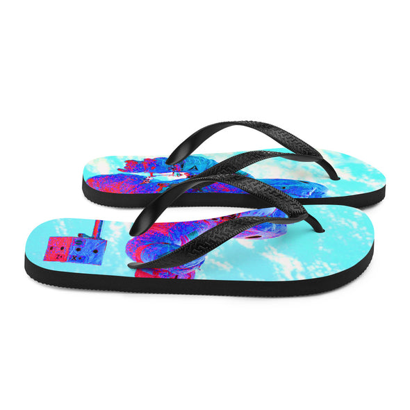 Renerded Flip Flops