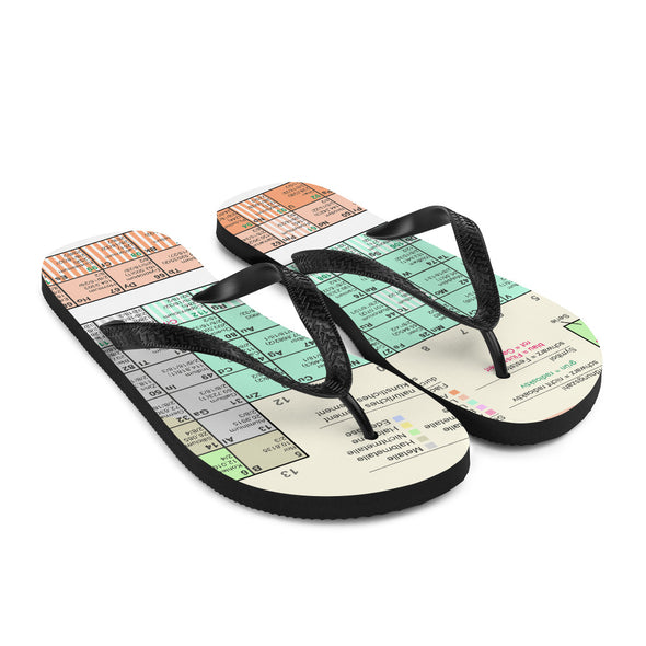 Renerded Flip Flops