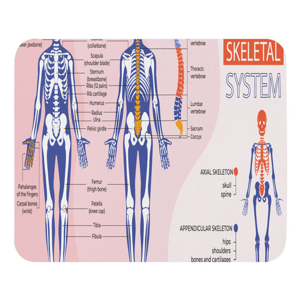 Renerded infographic-human-body-skeletal-system-02-TE Mouse Pad