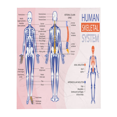 Renerded infographic human body skeletal system TE Throw Blanket